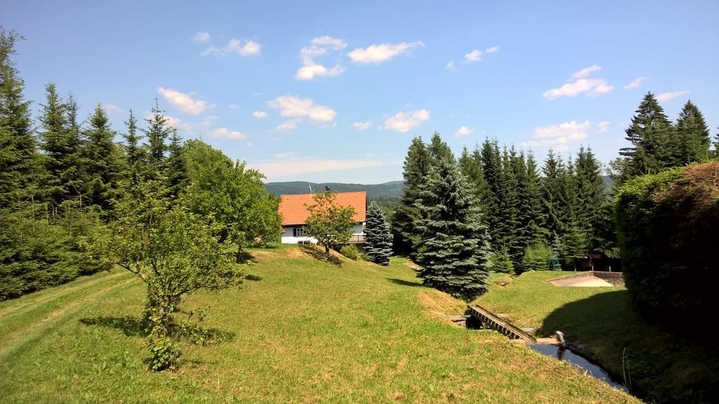 Chalet Lomy Villa Nove Mesto nad Metuji Room photo