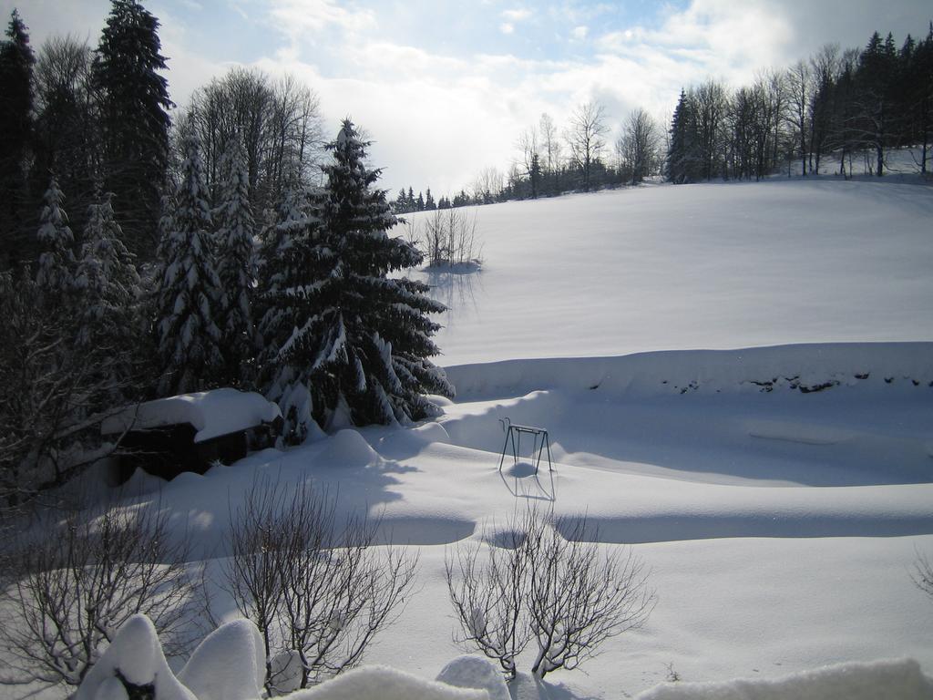 Chalet Lomy Villa Nove Mesto nad Metuji Room photo